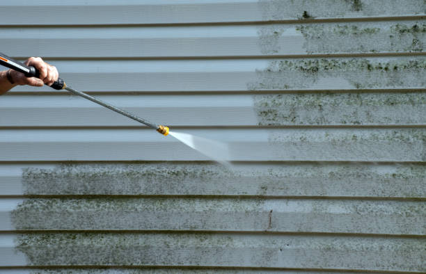 Best Driveway Pressure Washing  in Coal Fork, WV